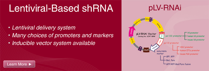 Plasmid-based shRNA Vectors